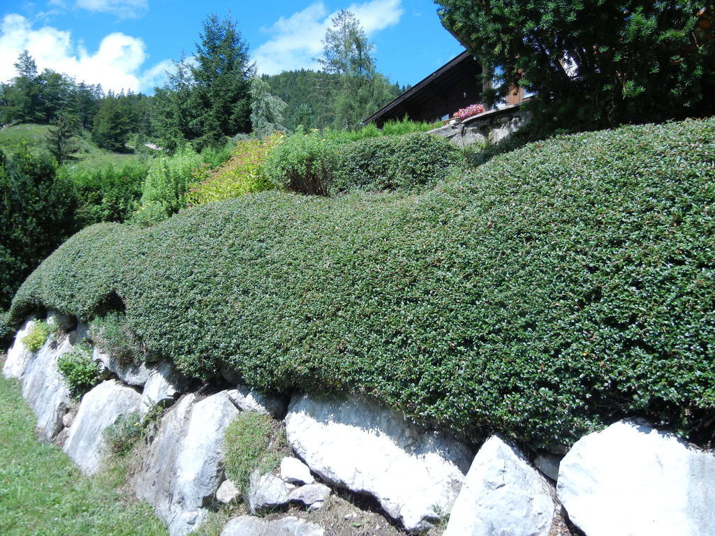 Privathaus Achensee Achenkirch Pokój zdjęcie